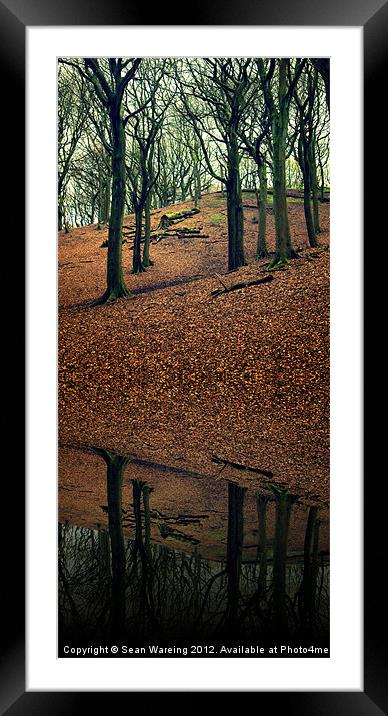 Forest Reflections Framed Mounted Print by Sean Wareing