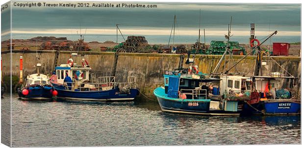 The Harbour Seahouses Canvas Print by Trevor Kersley RIP