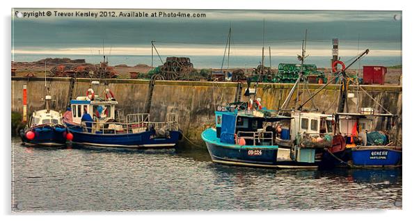 The Harbour Seahouses Acrylic by Trevor Kersley RIP