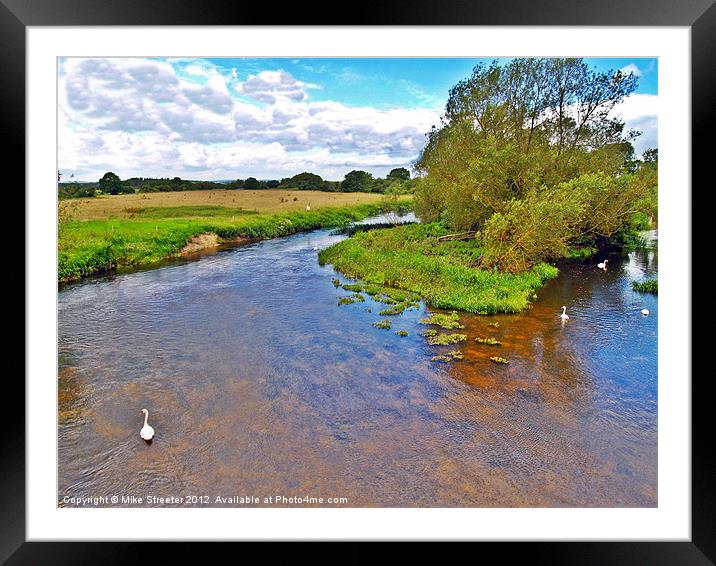 Swans on the Stour 2 Framed Mounted Print by Mike Streeter