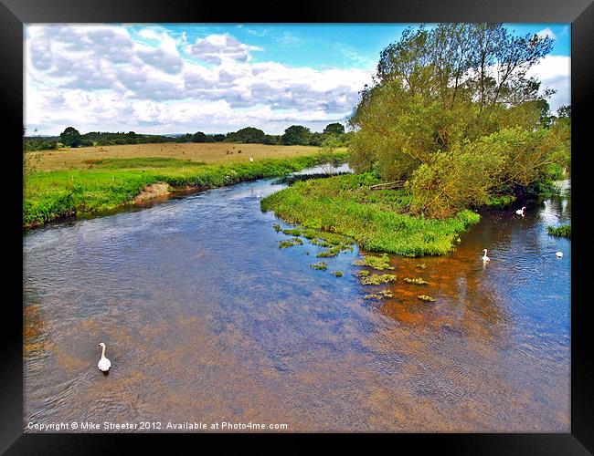 Swans on the Stour 2 Framed Print by Mike Streeter