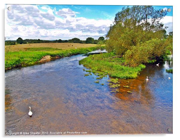 Swans on the Stour 2 Acrylic by Mike Streeter