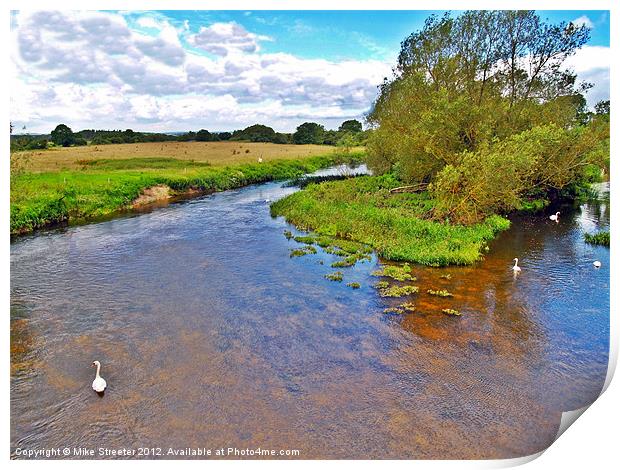 Swans on the Stour 2 Print by Mike Streeter