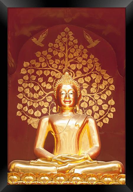 Golden Buddha statue Framed Print by stefano baldini