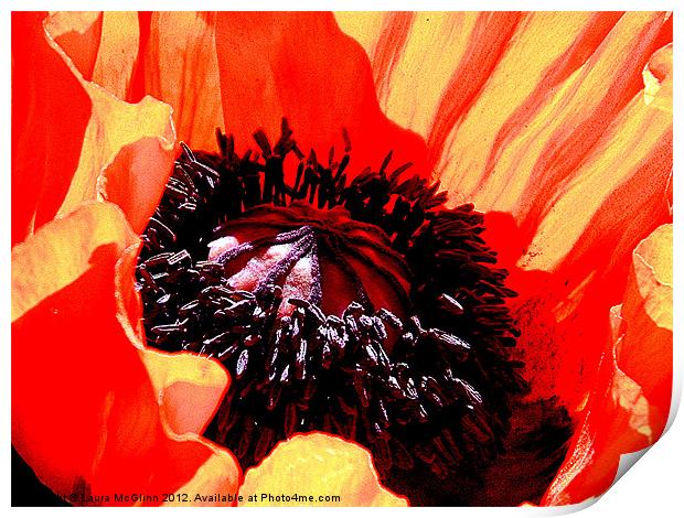 Black Pollen Print by Laura McGlinn Photog