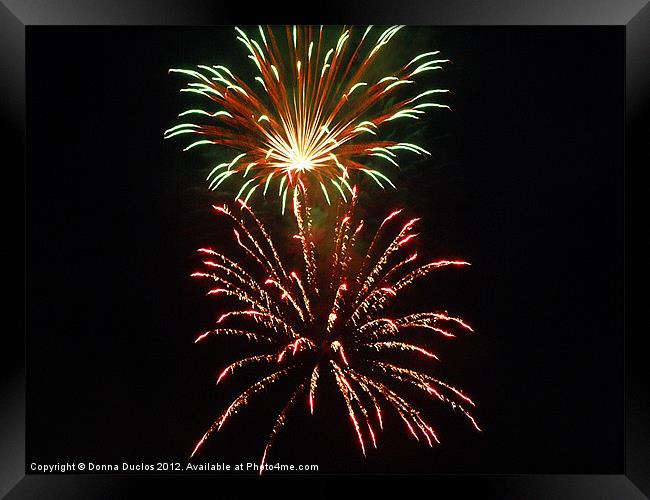 Fireworks Framed Print by Donna Duclos