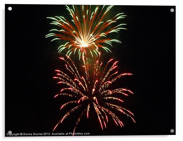 Fireworks Acrylic by Donna Duclos