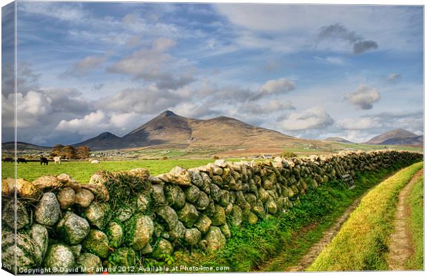 The Mournes in sunlight Canvas Print by David McFarland