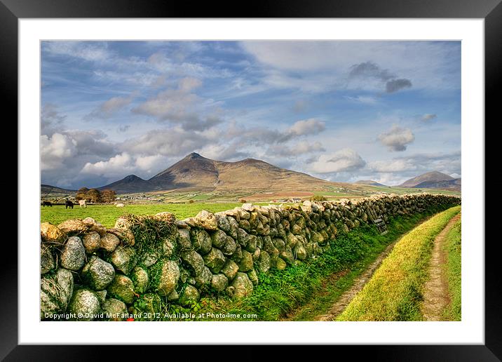 The Mournes in sunlight Framed Mounted Print by David McFarland
