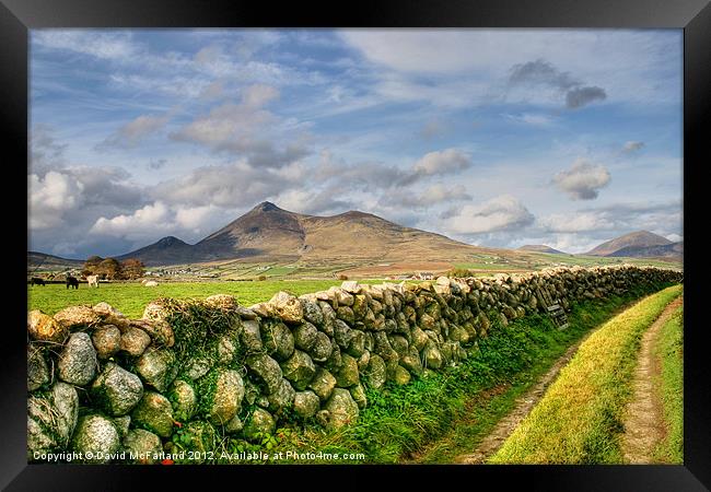 The Mournes in sunlight Framed Print by David McFarland