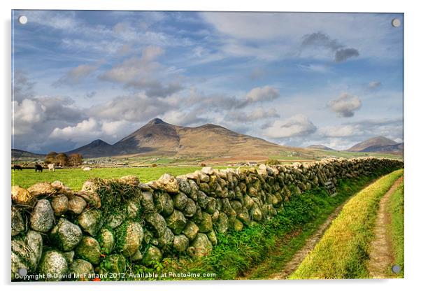 The Mournes in sunlight Acrylic by David McFarland