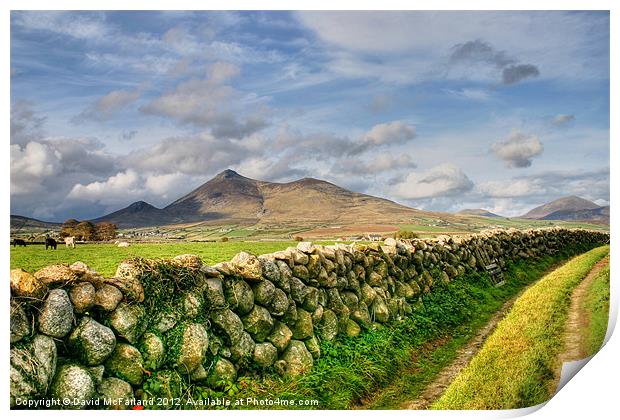 The Mournes in sunlight Print by David McFarland