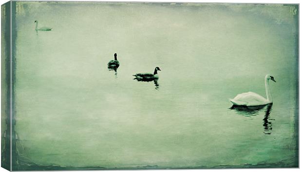 swans and geese Canvas Print by Heather Newton