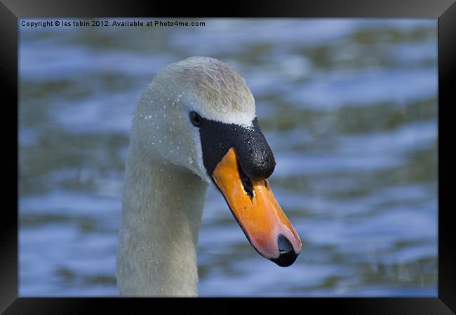 Not to Close Framed Print by les tobin