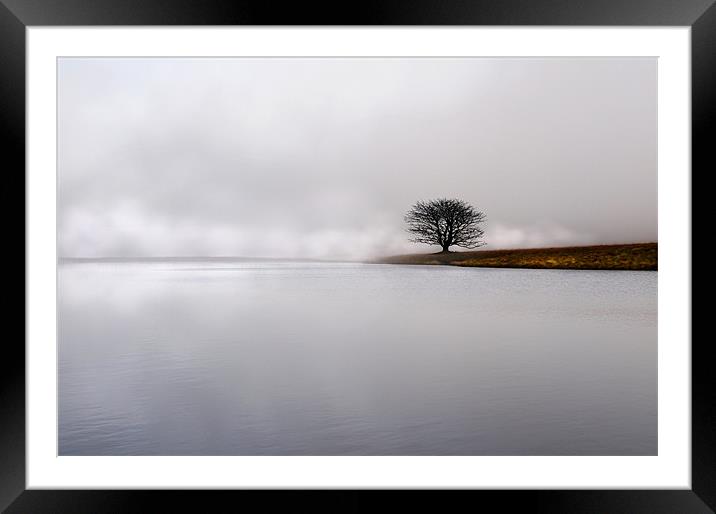 Lonely in the mist Framed Mounted Print by Robert Fielding