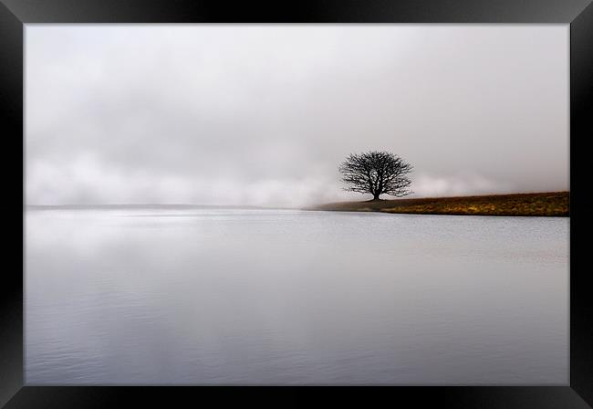 Lonely in the mist Framed Print by Robert Fielding