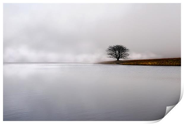 Lonely in the mist Print by Robert Fielding