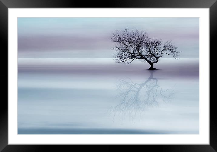 Tree of tranquility Framed Mounted Print by Robert Fielding