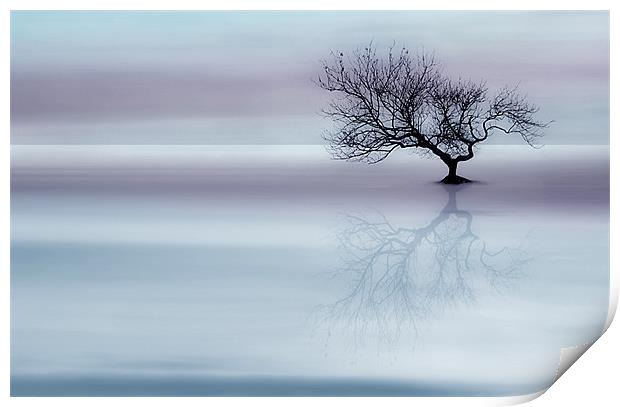Tree of tranquility Print by Robert Fielding