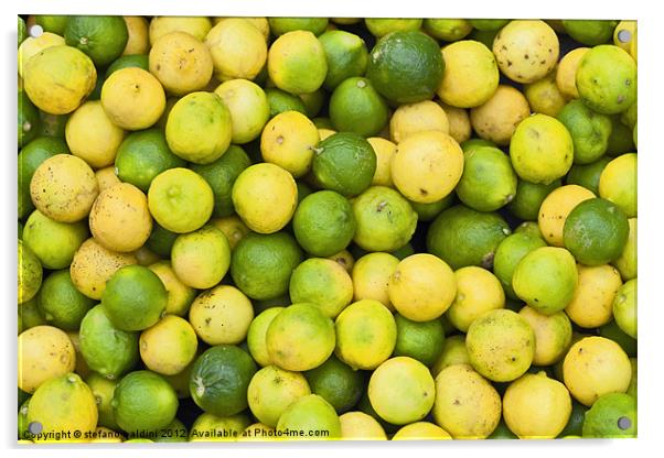 Lemons and limes Acrylic by stefano baldini