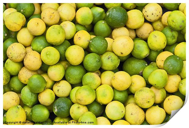 Lemons and limes Print by stefano baldini