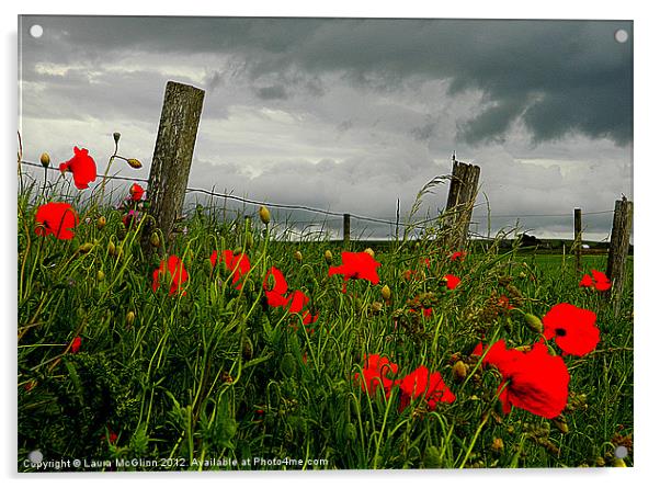Stormy Poppies Acrylic by Laura McGlinn Photog