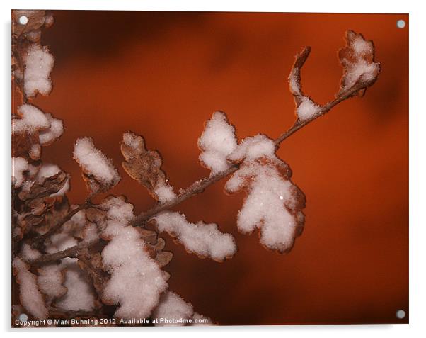 Winter leaves Acrylic by Mark Bunning