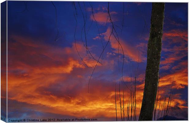 Sunset Blues Canvas Print by Christine Lake