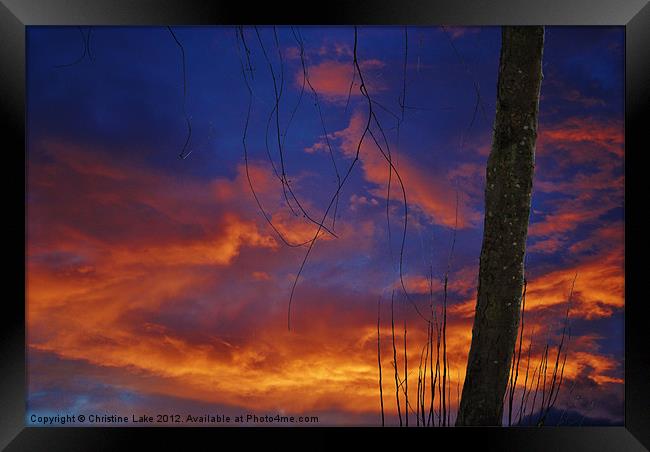 Sunset Blues Framed Print by Christine Lake