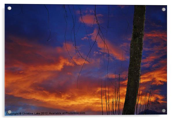 Sunset Blues Acrylic by Christine Lake