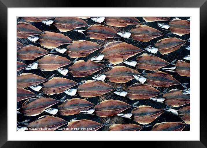 Sardines on Rack Framed Mounted Print by Eva Kato