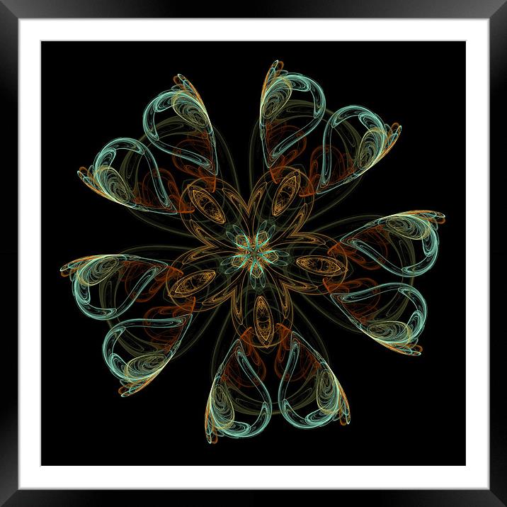 fractal star flower Framed Mounted Print by Heather Newton