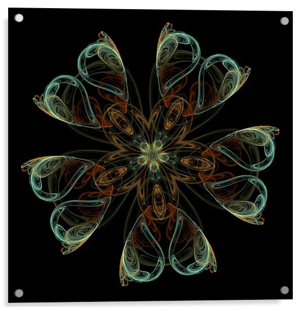 fractal star flower Acrylic by Heather Newton