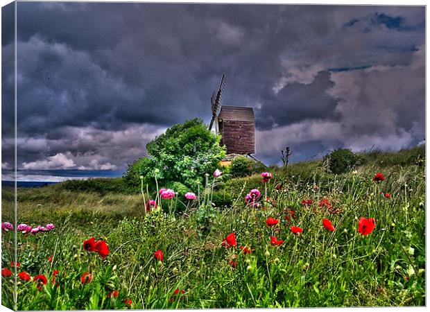 mill wild flowers hdr Canvas Print by carl blake