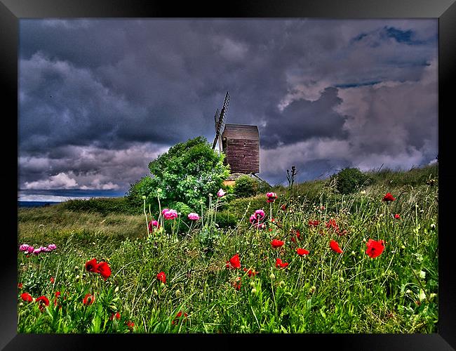 mill wild flowers hdr Framed Print by carl blake