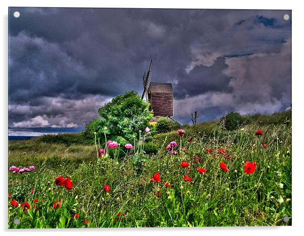 mill wild flowers hdr Acrylic by carl blake