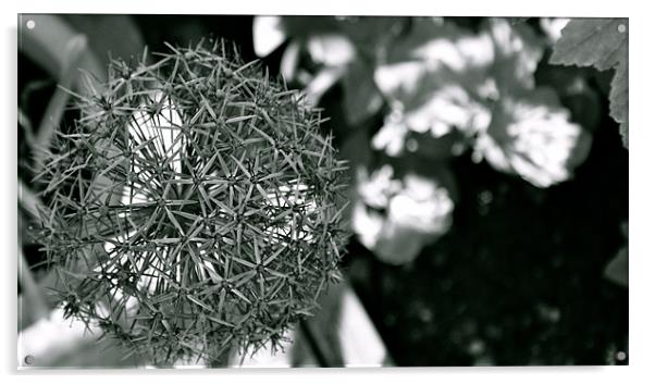 Flower Sphere Acrylic by John Garcia