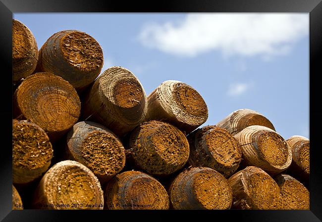 Logs Framed Print by keith sutton