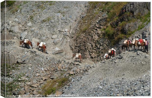 Mules Crossing Landslide near Birethanti Canvas Print by Serena Bowles