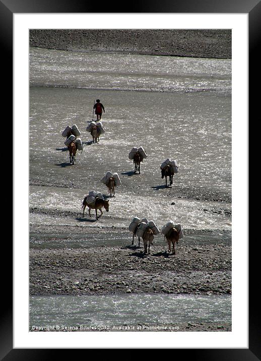 Mules Crossing River Annapurna Circuit Framed Mounted Print by Serena Bowles