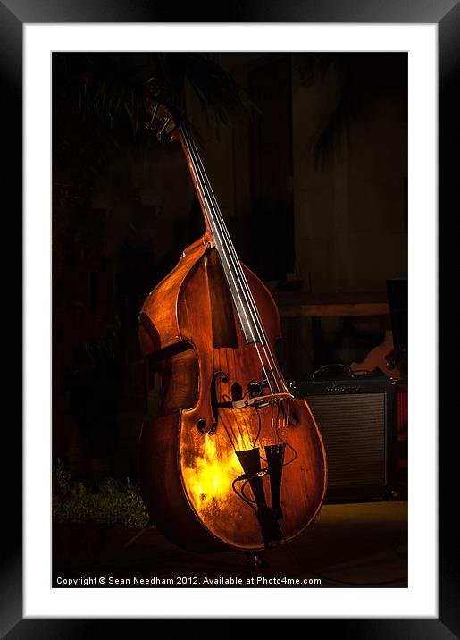 Upright Bass Framed Mounted Print by Sean Needham