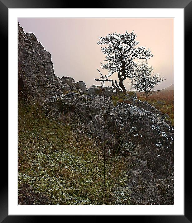 Autumn's Embrace on Bryn Alyn Framed Mounted Print by Graham Parry