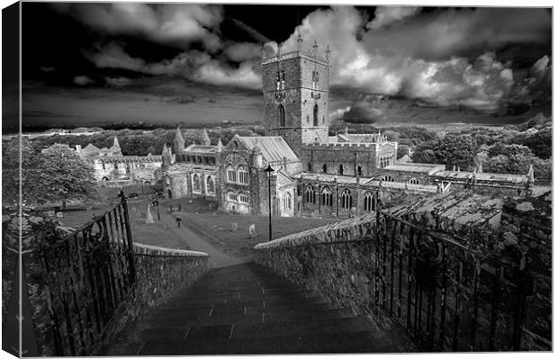 St Davids Cathedral Canvas Print by Stephen Mole