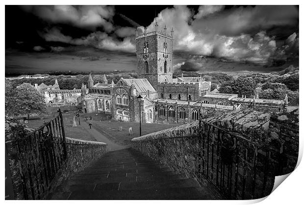 St Davids Cathedral Print by Stephen Mole