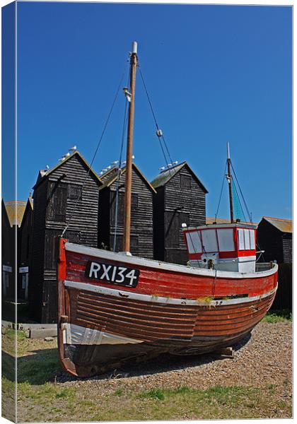 Hastings Fishing Boat Canvas Print by Phil Clements
