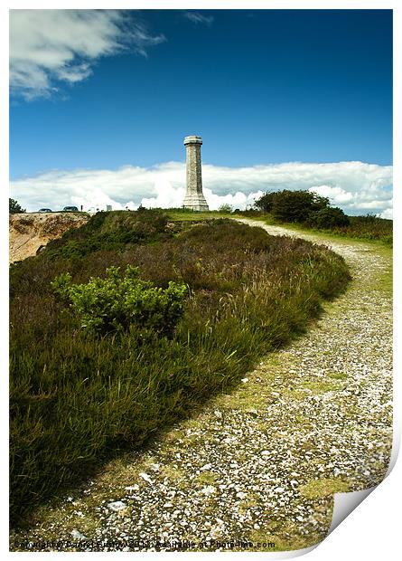 Hardys Monument Print by Daniel Bristow