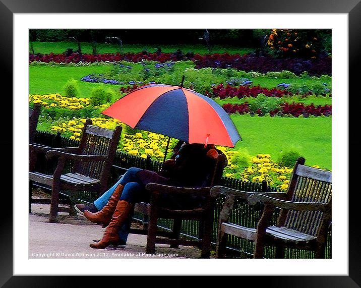 UMBRELLA IN THE PARK Framed Mounted Print by David Atkinson