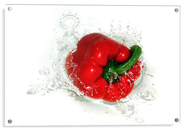Fresh Red Pepper Acrylic by Anthony Michael 