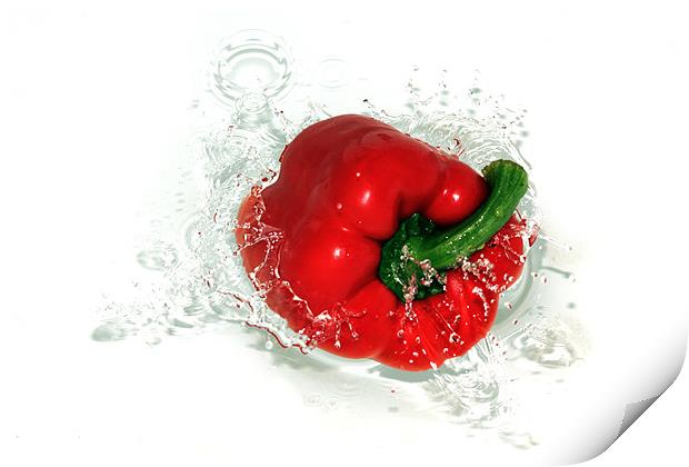 Fresh Red Pepper Print by Anthony Michael 