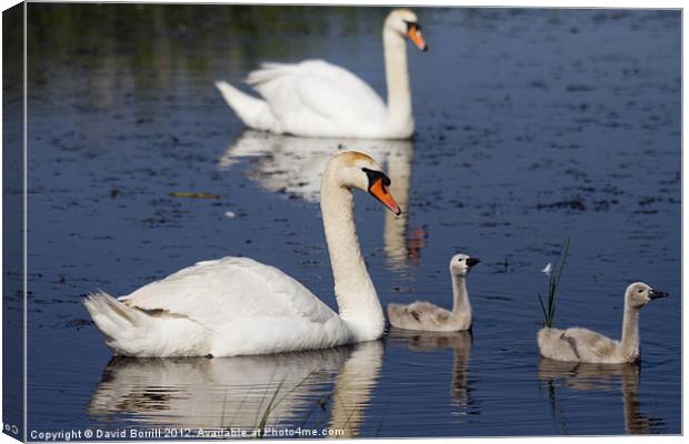 Family Day Out Canvas Print by David Borrill